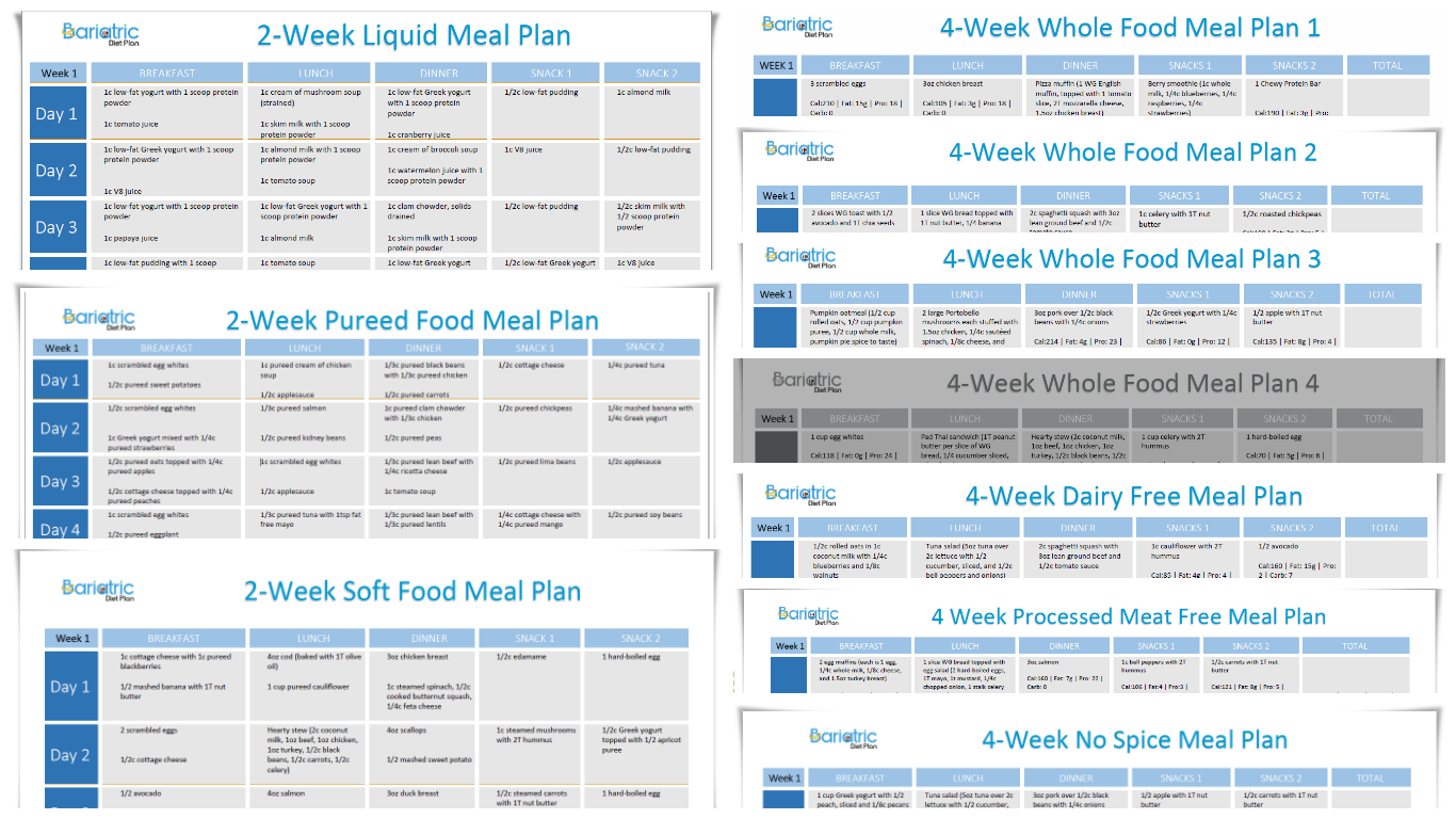 Bariatric Meal Prep Journal, Gastric Sleeve Meal Planner, Gastric Bypass  Daily Meal Prep Planner, Bariatric Protein Food List, VSG Planner 