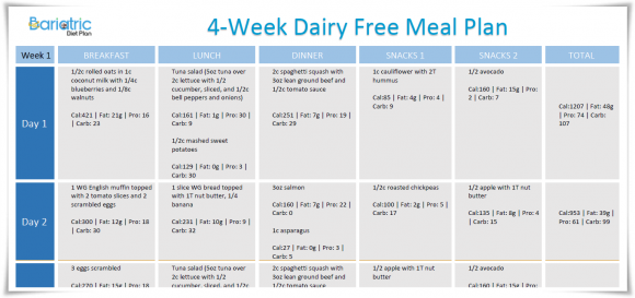 Dairy Sensitivity Plan