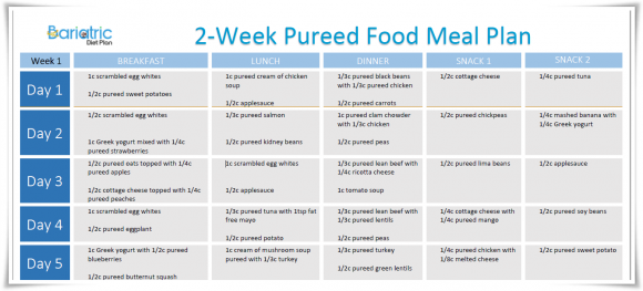Pureed Food Plan Pureed Food Plan