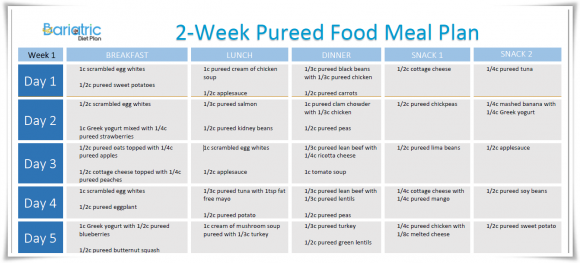 Pureed Food Plan